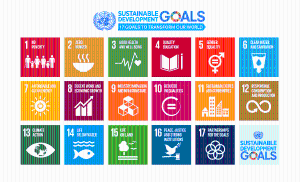 SDG