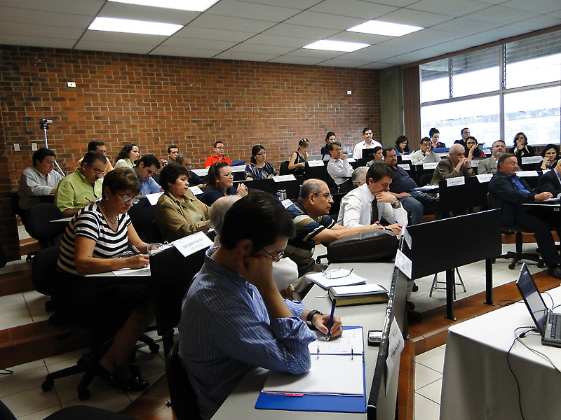 Participantes Diplomado ESM 2010