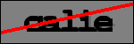 Text der identifiziert werden soll