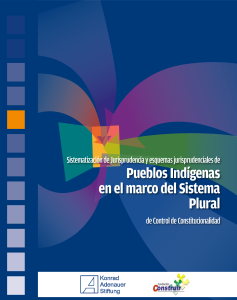 Pueblos Indígenas en el marco del Sistema Plural