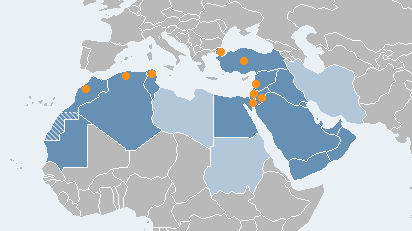 Abteilung Naher Osten und Nordafrika