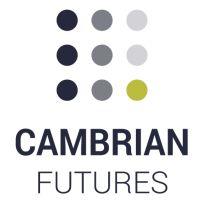 Cambrian Futures