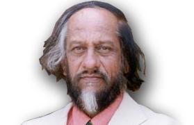 Friedensnobelpreisträger Rajendra Pachauri