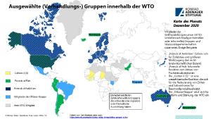 Groups and Alliances in the World Trade Organization (WTO ...