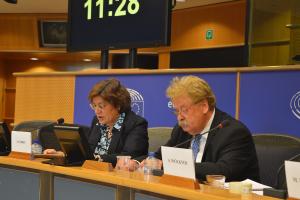 Ana Fomes and Elmar Brok present their recommendations