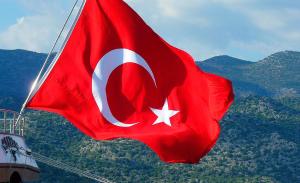 türkische Flagge | Foto: Pixybay/LoggaWiggler