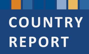 country report logo