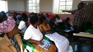 Group presentations in plenary