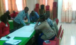 Group work: Development of action points