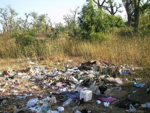 Verschmutzter Wald in Senegal