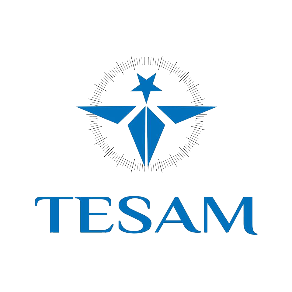 TESAM LOGO