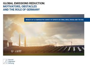 Global Emission Reduction: Results of a comparative survey of experts in China, India, Russia and the USA