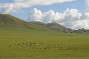 Steppenlandschaft in der Inneren Mongolei, Quelle:Pixabay