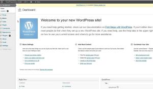 Screenshot Wordpress Backend