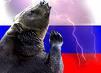 Russland - der Bär erwacht