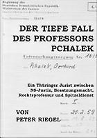 „Der tiefe Fall des Professors Pchalek“