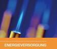 Die Energieversorgung Deutschlands - Was können wir uns in Zukunft leisten?