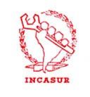 Seminario INCASUR