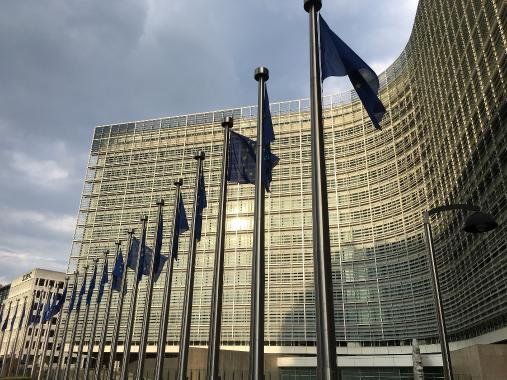 Berlemont - Europäische Kommission