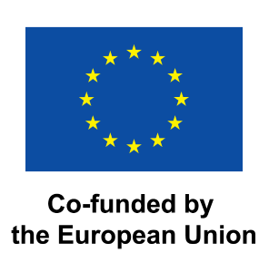 Co-funded by the European Union