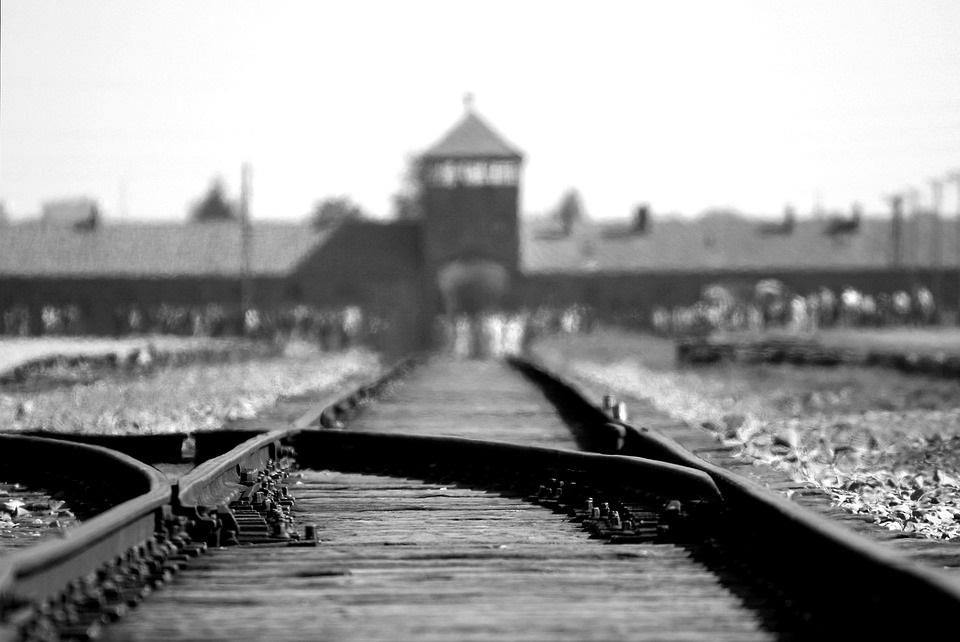 25.01 Foto Denktag Auschwitz-Birkenau-Pixabay-c-Ron Porter
