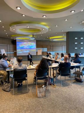 First Training of MENA Leadership Academy V - Regional Programme ...