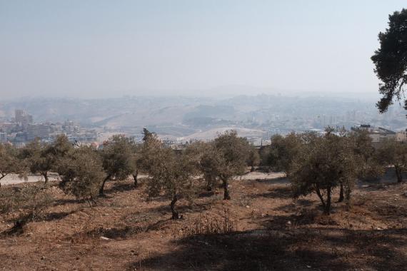 WhatsApp Image 2025-11-09 at 2.19.15 PM