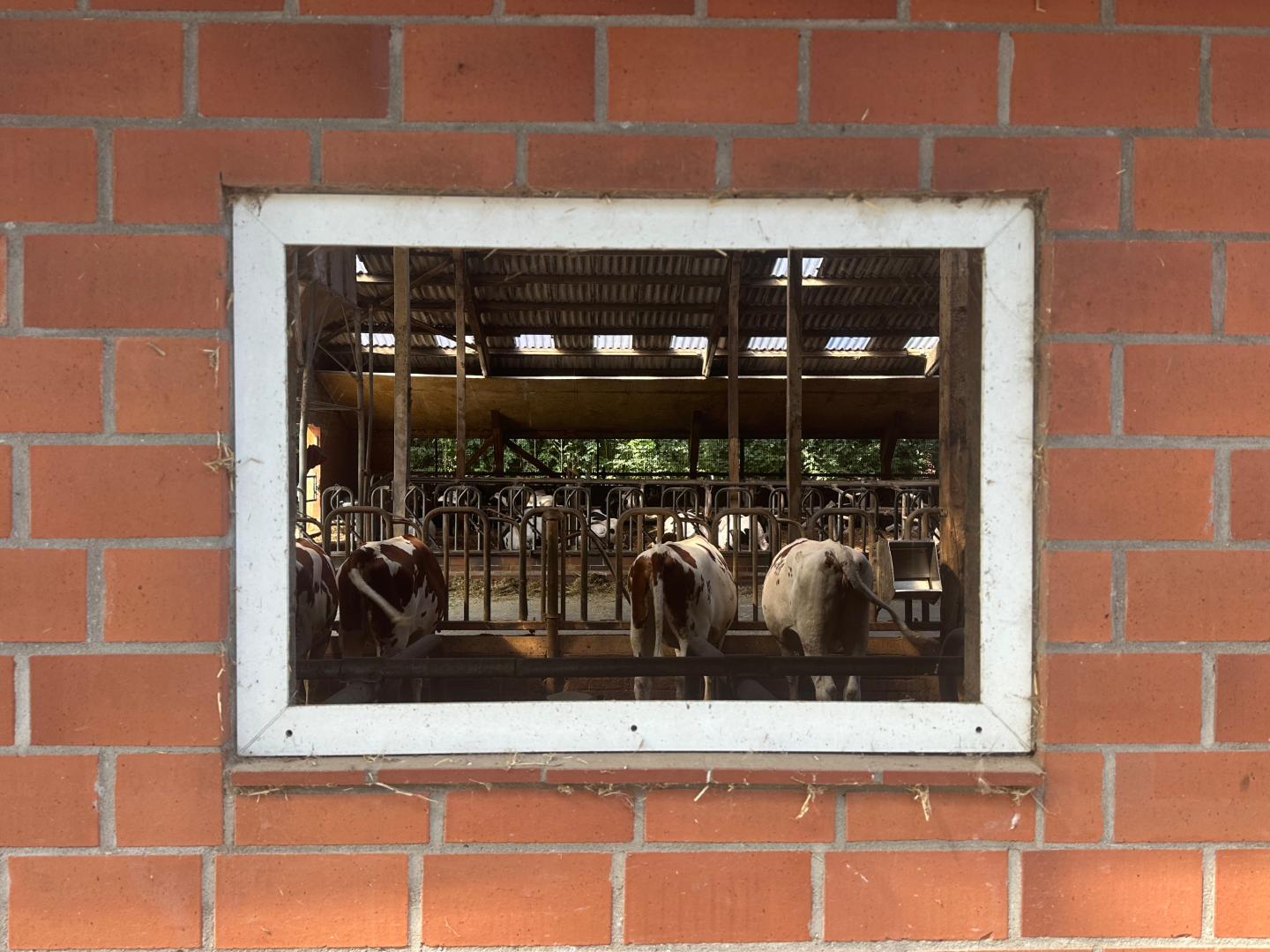 251103_Abschlussprojekt_Bild3