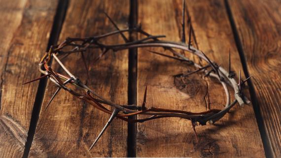 Untitled design (49)