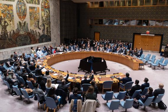 UN Security Council members