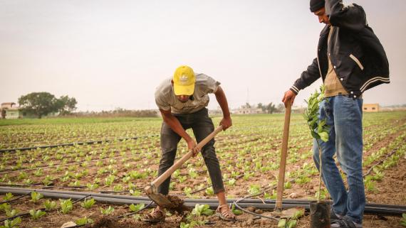 Agriculture in Jordan