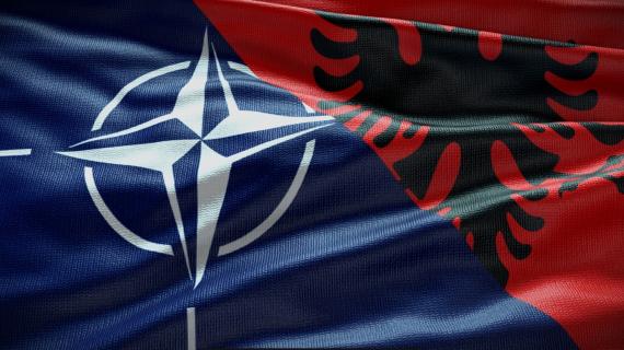 Dark Green and Cream Simple Dark Real Estate Bio-Link Website (3)