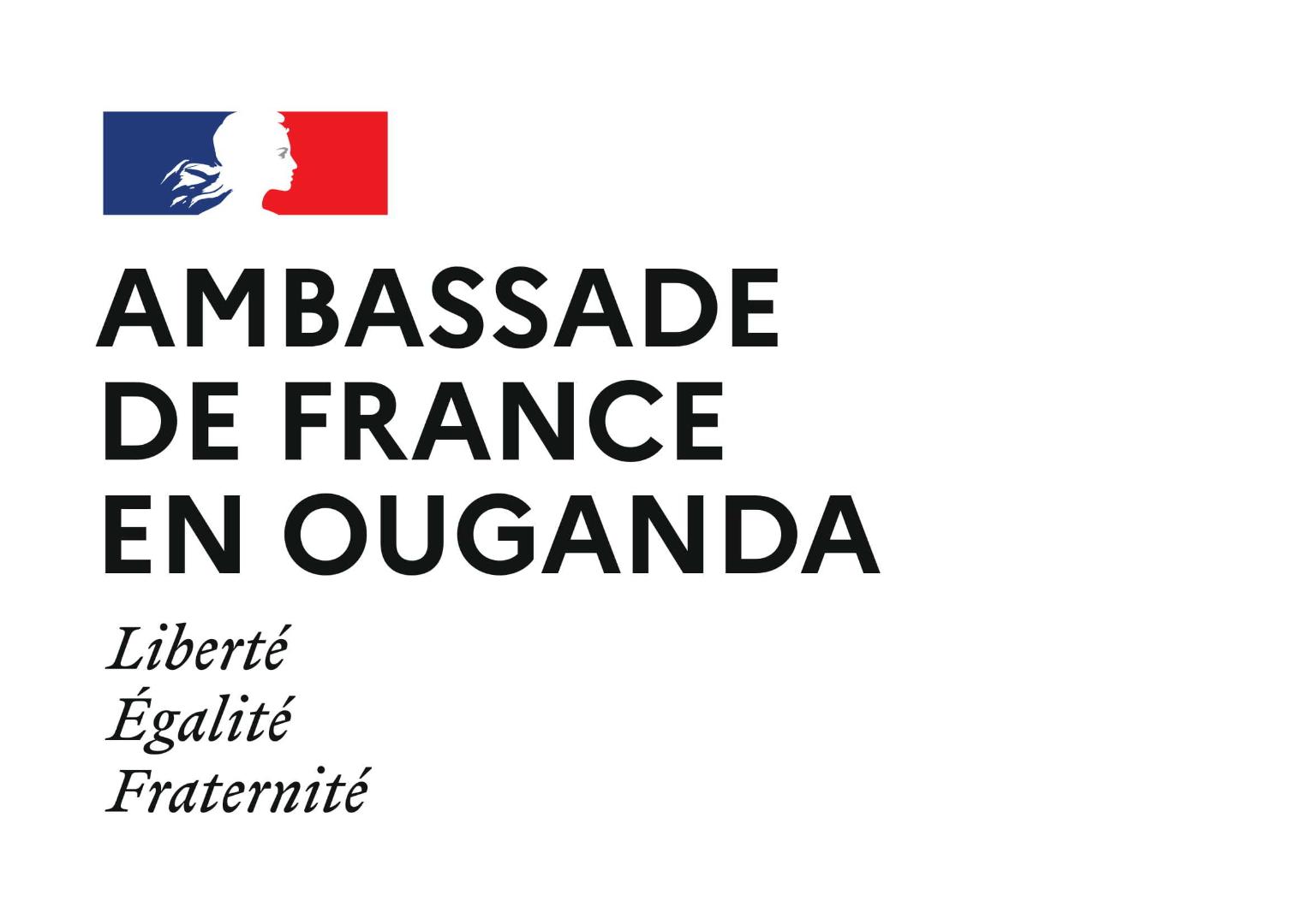 Embassy of France Logo