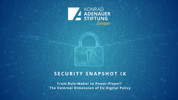 Security Snapshot IX