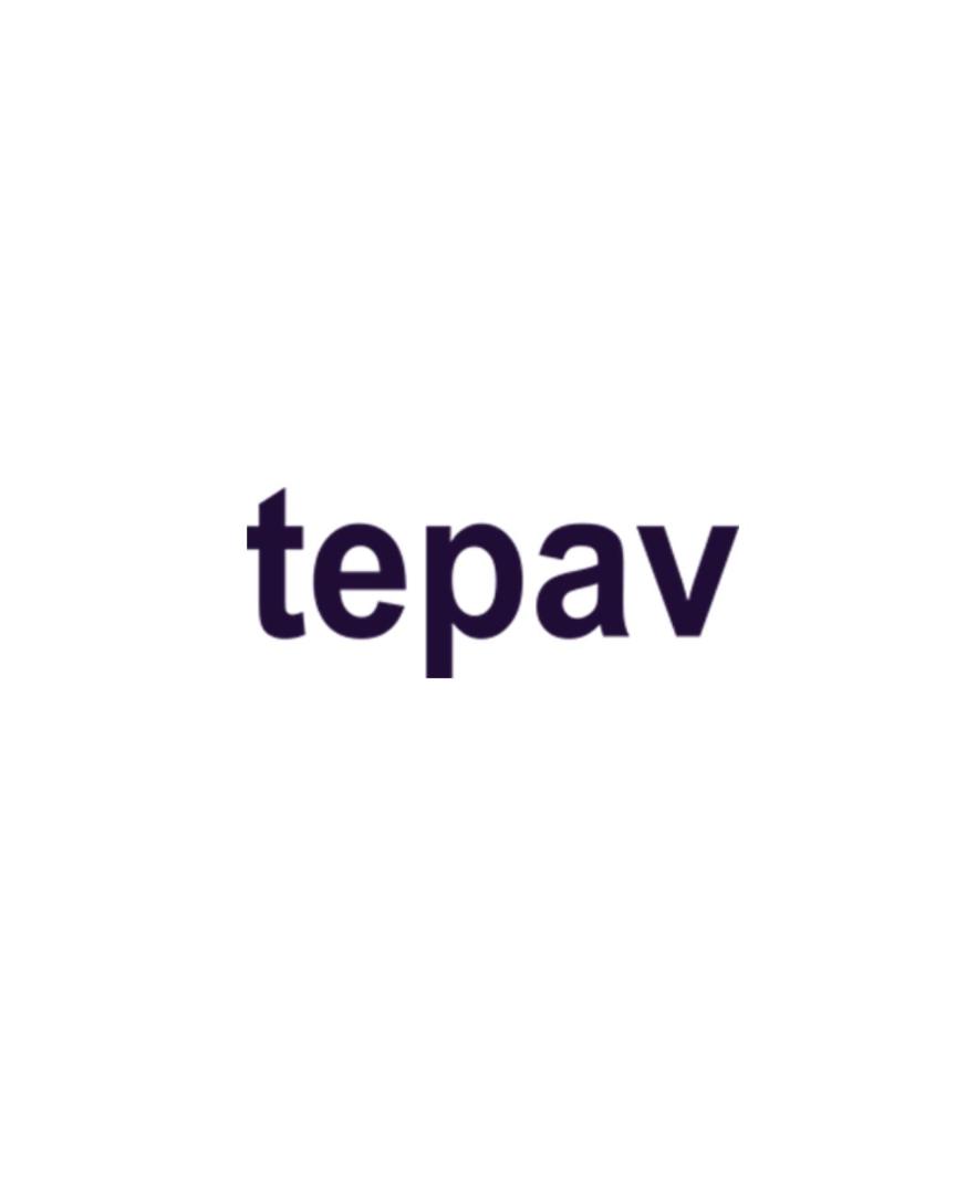 TEPAV Logo