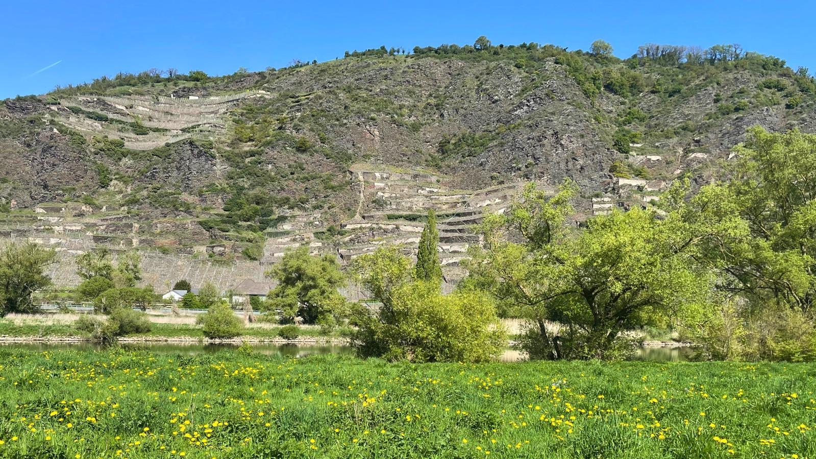 Foto26041701