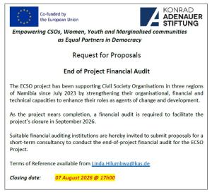Audit Advert 28 July 2026 (1)