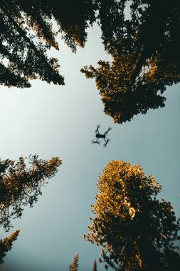 drone picture