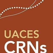 UACES – The Academic Association for Contemporary European Studies