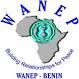 West Africa network for peacebuilding (WANEP)