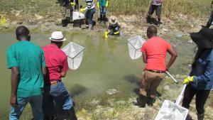 Participants taking samples to check the water quality.